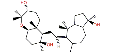 Sipholenol C